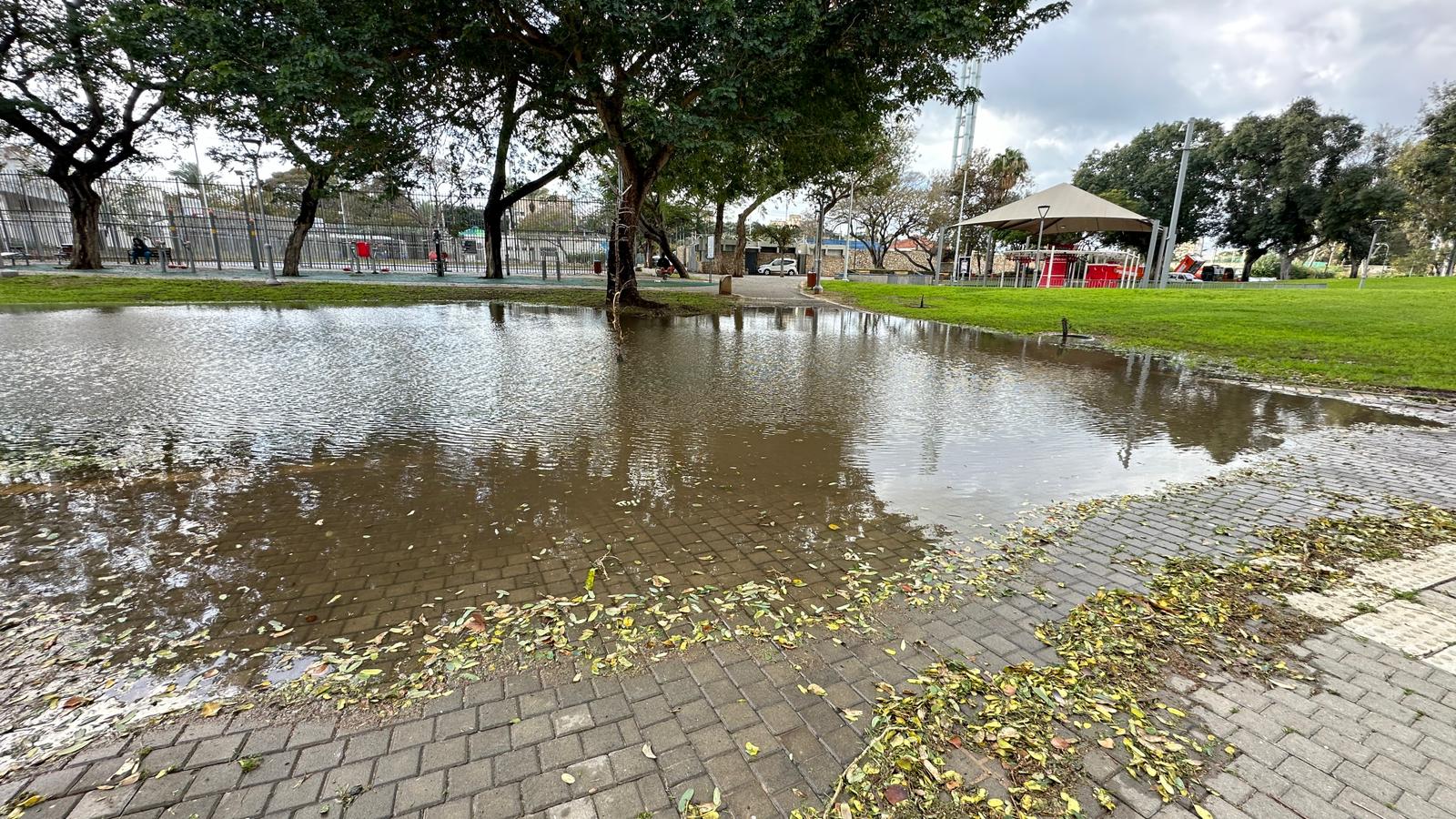 WhatsApp Image 2024-01-30 at 19.11.11.jpeg